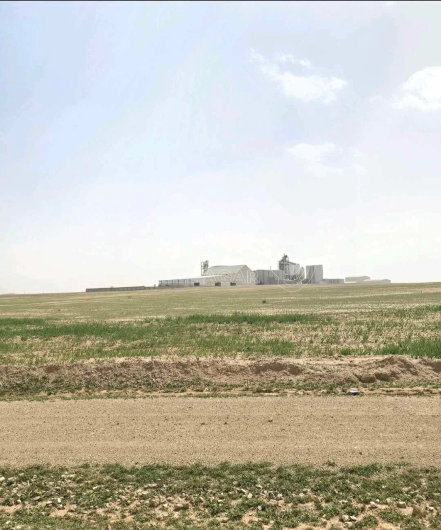 أرض في اراضي جنوب عمان لواء ام الرصاص الشارع الرئيسي  - 15,000 دأ - صورة 1