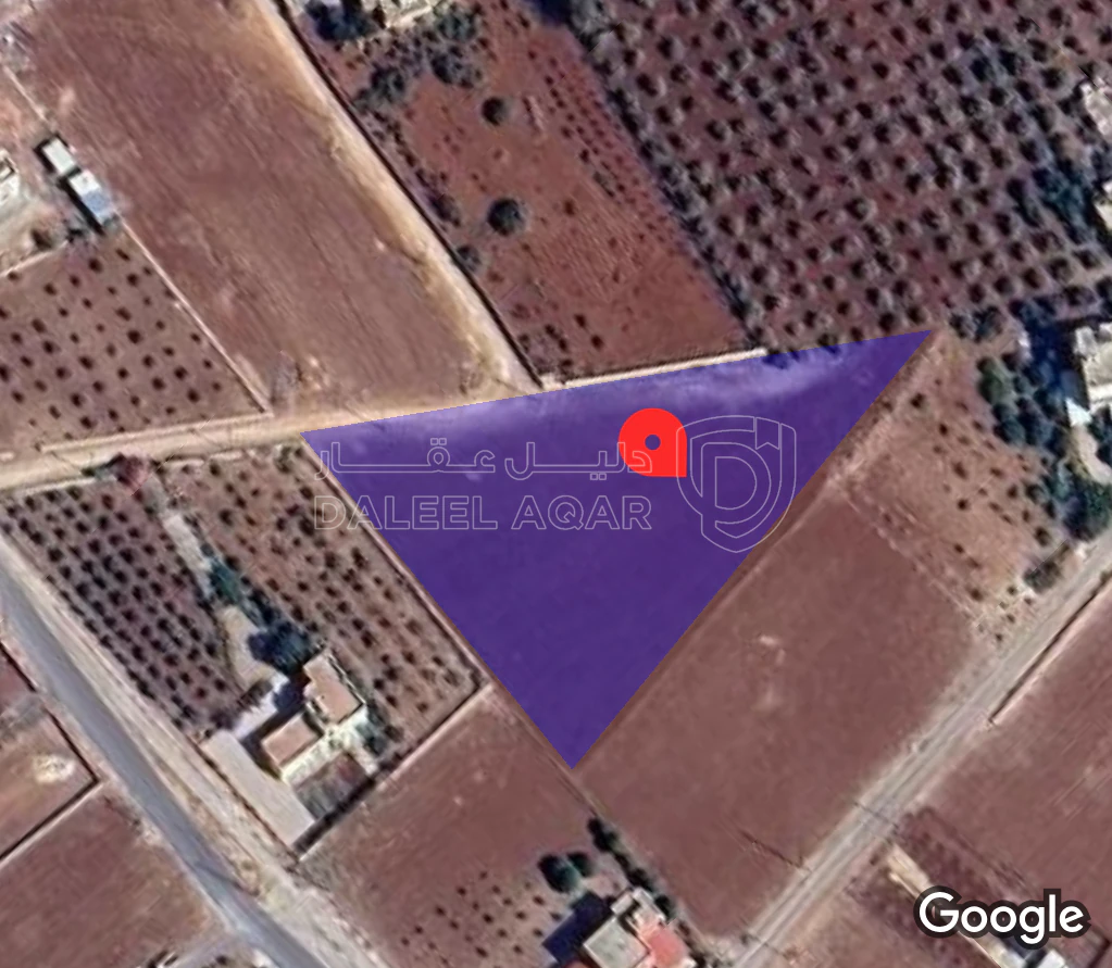 أرض في الصبيحي بيوضة الشرقية - 75,000 دأ - صورة 1