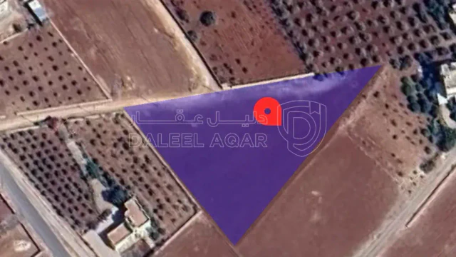 أرض - الصبيحي بيوضة الشرقية - 75000 دأ