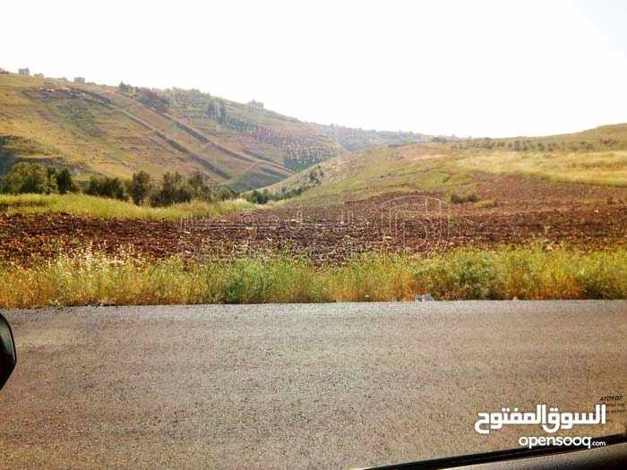 أرض في قطعة ارض على حد التنظيم مساحة 3664م  - 175,000 دأ - صورة 1