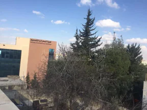 فيلا/منزل في منزل للبيع خلف جامعة البتراء في موقع مميز جدا  - 550,000 دأ - صورة NaN