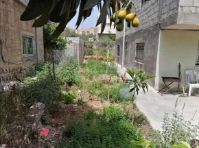 فيلا/منزل في اربد,البارحه,شارع قيس بن سعد - 75,000 دأ - صورة NaN