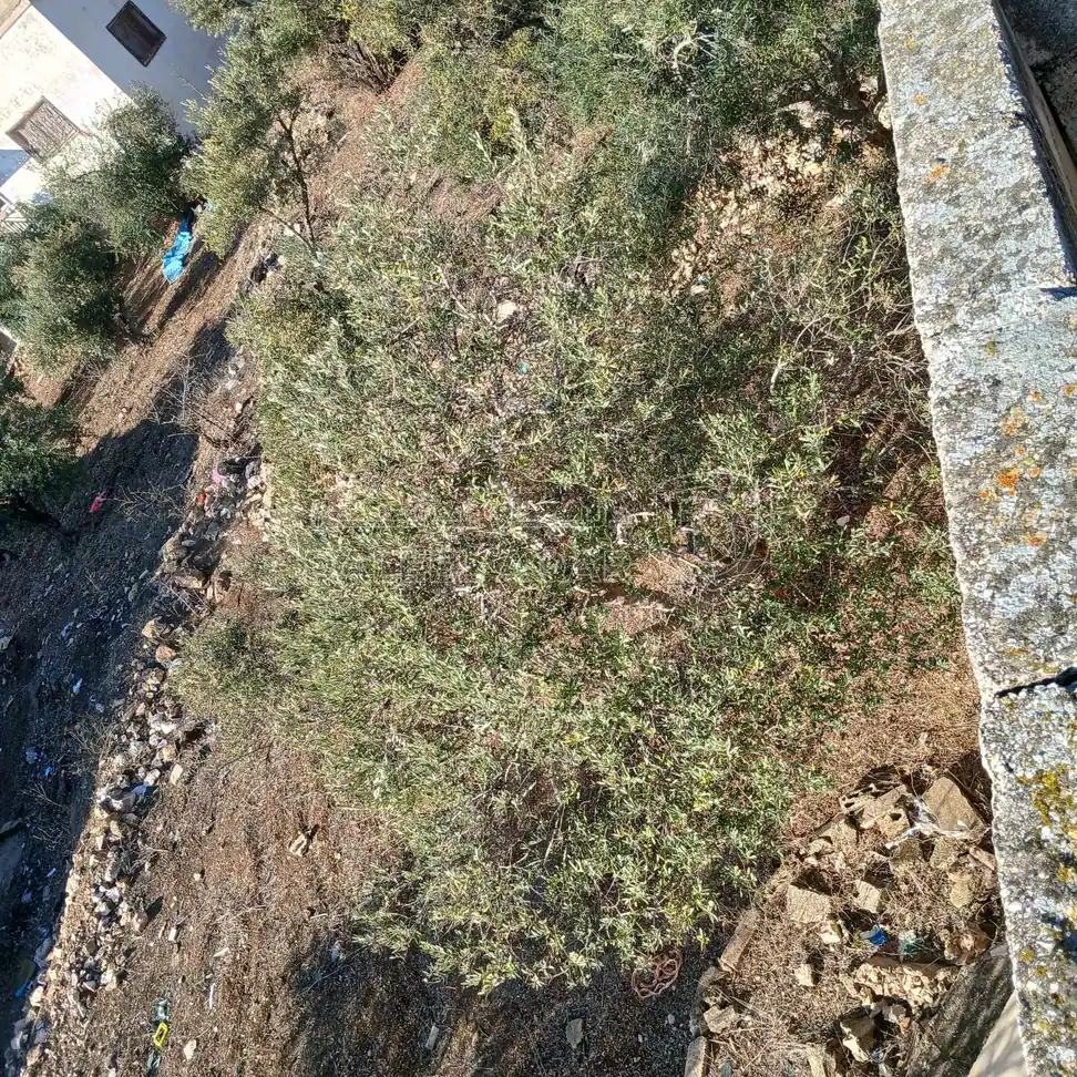 فيلا/منزل في اربد - كفريوبا - بالقرب من شارع الرئيسي - 47,000 دأ - صورة 1