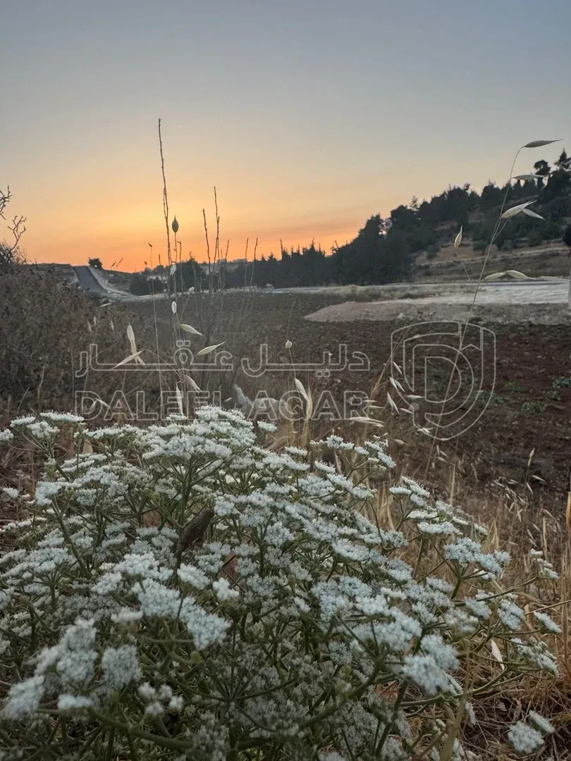 أرض في بلعاس - يبعد 6 دقائق عن طريق المطار - 179,900 دأ - صورة 1