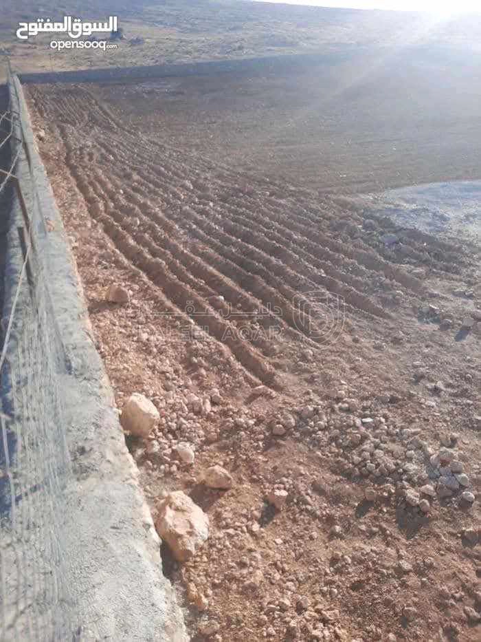 أرض في ارض للبيع في الزرقاء -القنيه  مشكيه بل كامل  - 29,000 دأ - صورة 1