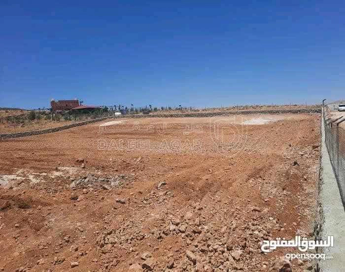 أرض في ارض للبيع في الزرقاء -القنيه  مشكيه بل كامل  - 29,000 دأ - صورة 1