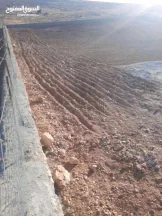 أرض في ارض للبيع في الزرقاء -القنيه  مشكيه بل كامل  - 25,000 دأ - صورة NaN