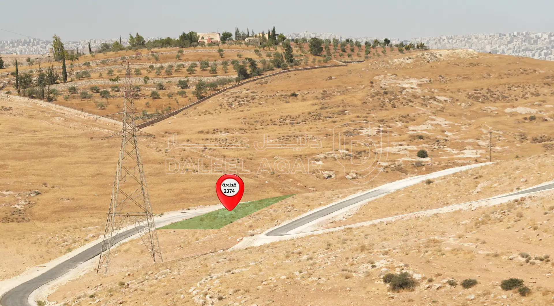 أرض في ارض للبيع في شفا بدران -زينات الربوع - 63,000 دأ - صورة 1