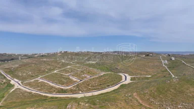أرض في ارض للبيع في شفا بدران -زينات الربوع - 63,000 دأ - صورة NaN