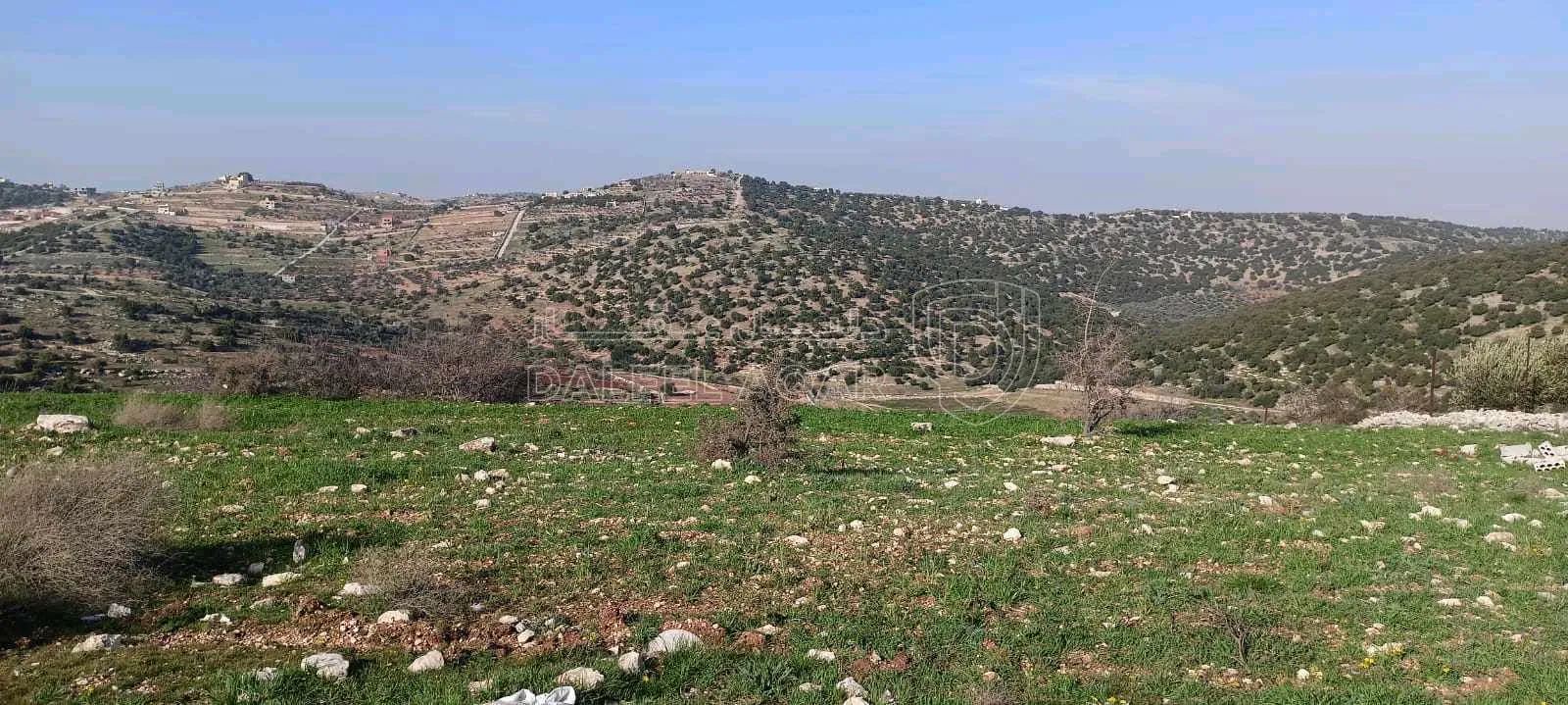 أرض في عجلون-صخرة-حوض السهله  - 45,000 دأ - صورة 1