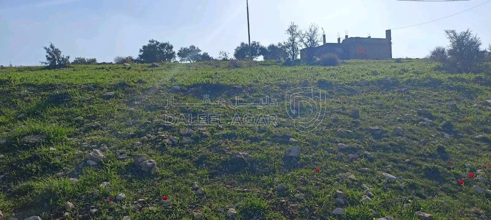 أرض في عجلون-صخرة-حوض السهله  - 45,000 دأ - صورة 1