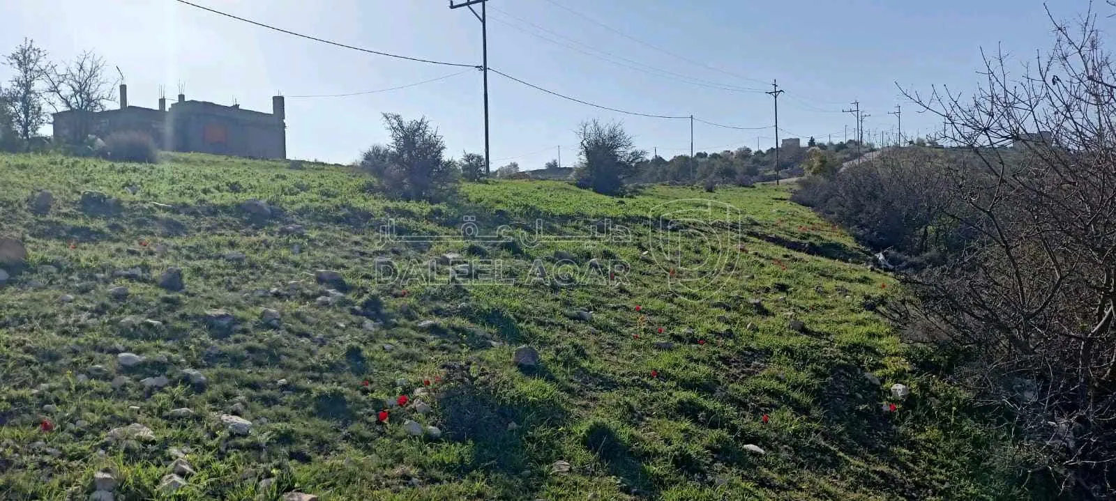 أرض في عجلون-صخرة-حوض السهله  - 45,000 دأ - صورة 1