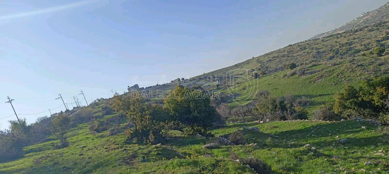 أرض في عجلون-صخرة-حوض السهله  - 45,000 دأ - صورة 1