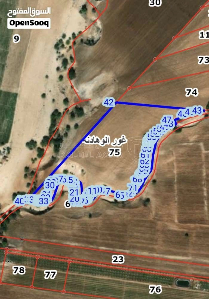 أرض في غور الوهادنة - 230,000 دأ - صورة 1