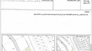 أرض - رجم عميش - 501000 دأ