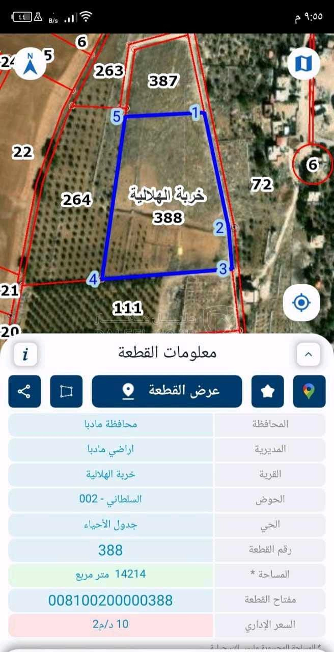 أرض في أرض زراعية للبيع في خربة الهلالية، محافظة مادبا  - 140,000 دأ - صورة 1