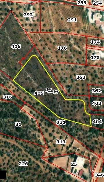 أرض في السلط الصبيحي بيوضه الشماليه  - 120,000 دأ - صورة 1