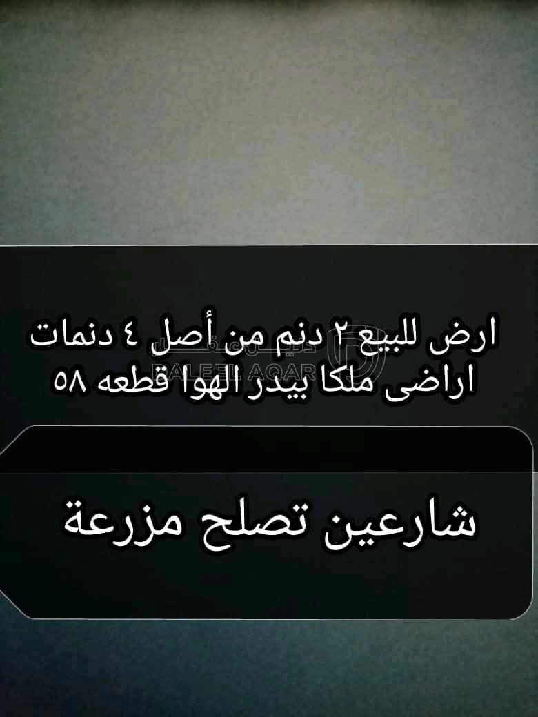 أرض في ٢ دونم من اصل اربعه للبيع معك شريك واحد  - 8,000 دأ - صورة 1