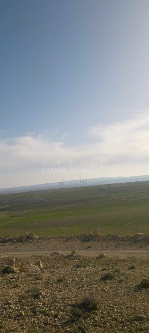 أرض في الفجيج.حوض الدعجانيه . الحسينيه  - 7,500 دأ - صورة 1