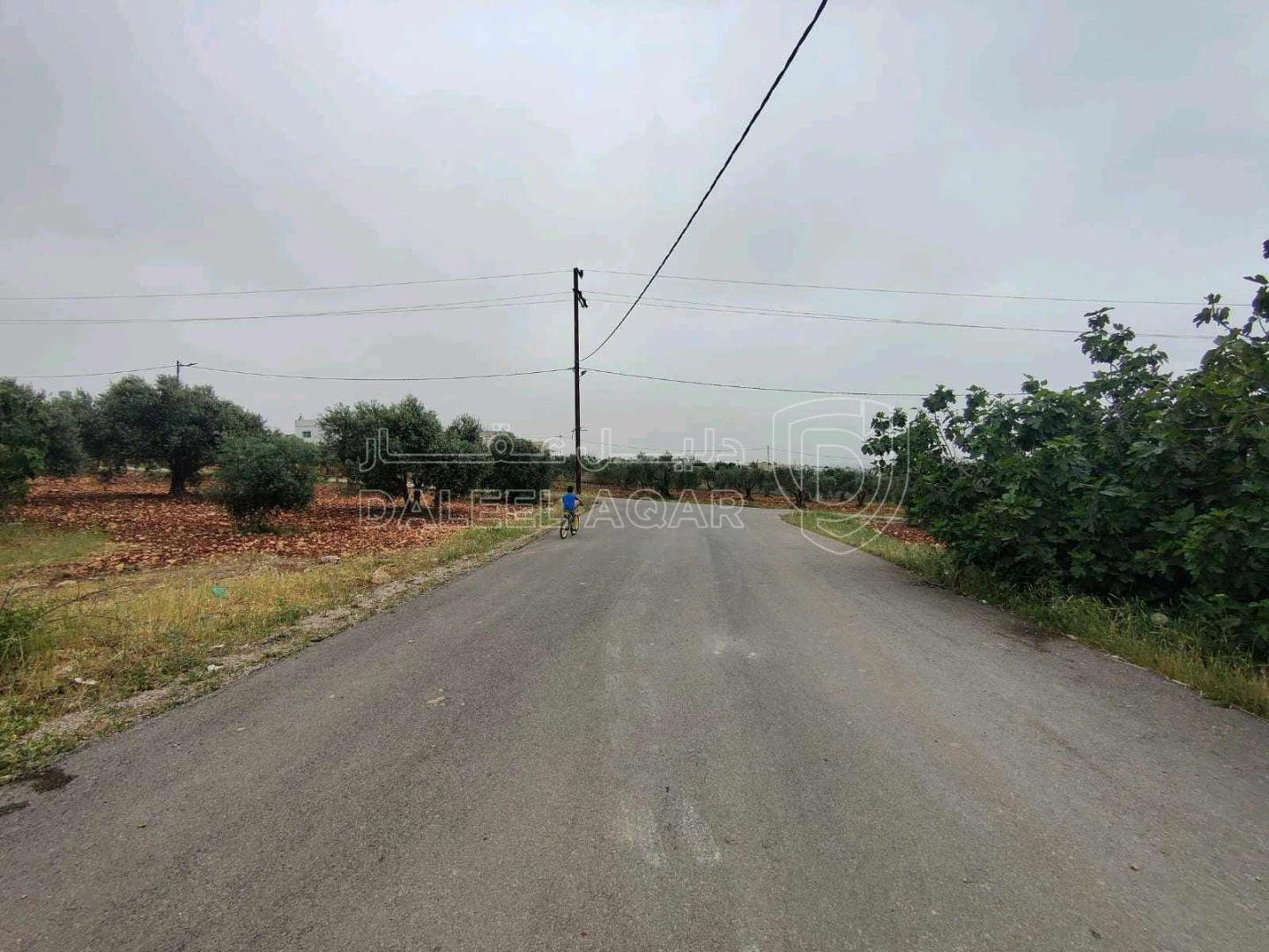 أرض في اربد مارو - 63,000 دأ - صورة 1