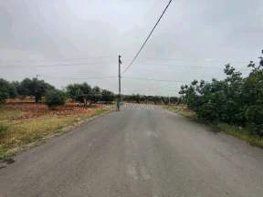 أرض في اربد مارو - 63,000 دأ - صورة NaN