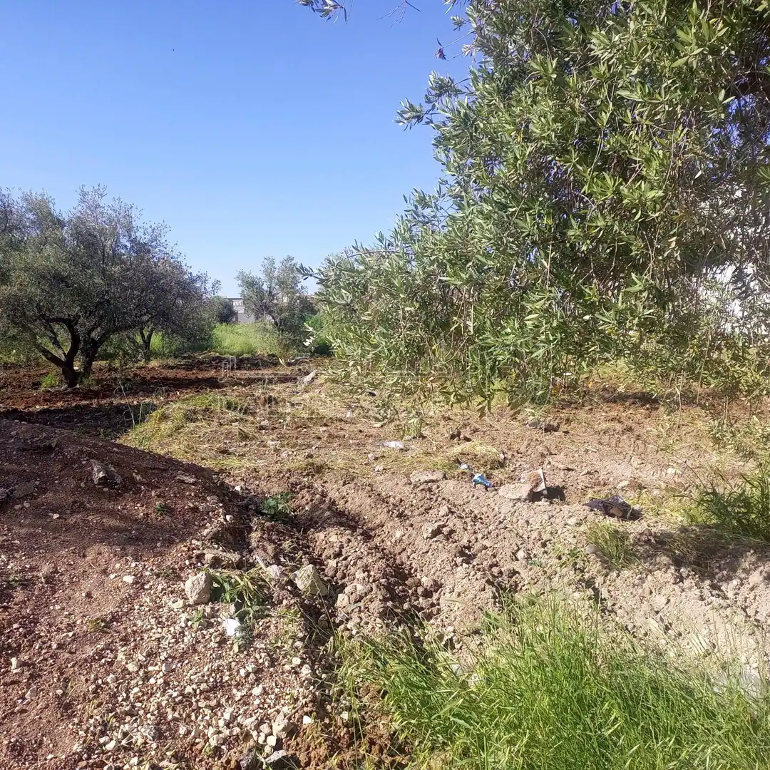 أرض في مادبا -الخطابية - بجانب مسجد علي السعيدات  - 50,000 دأ - صورة 1