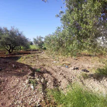 أرض في مادبا -الخطابية - بجانب مسجد علي السعيدات  - 50,000 دأ - صورة NaN