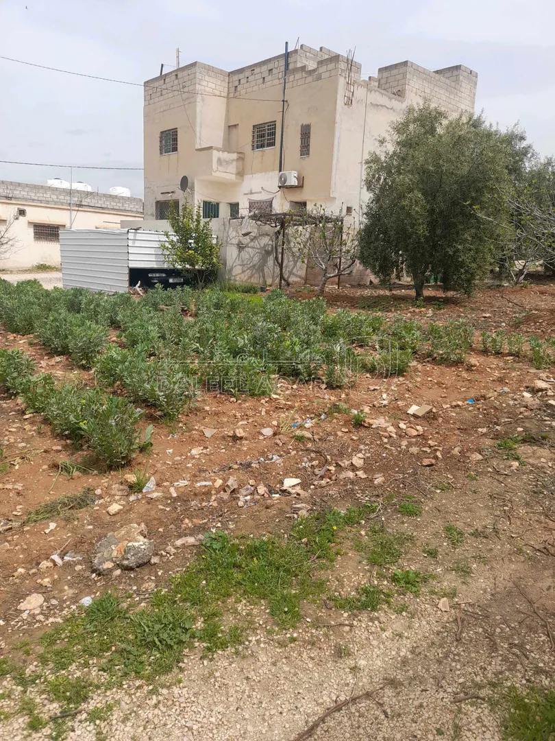 فيلا/منزل في بلعما الجبل الأخضر بجانب منزل الشيخ نواف الفارس  - 50,000 دأ - صورة 2