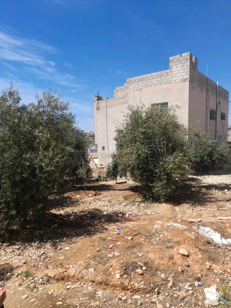 فيلا/منزل في بلعما الجبل الأخضر بجانب منزل الشيخ نواف الفارس  - 50,000 دأ - صورة 5