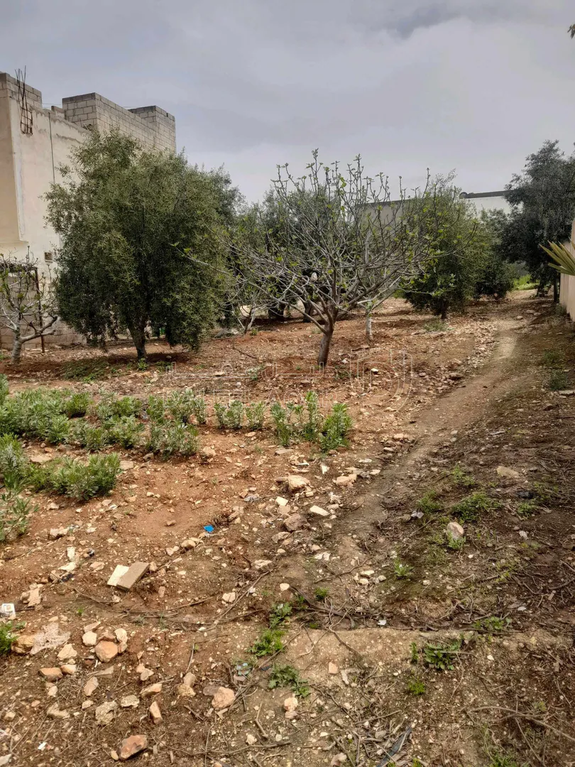 فيلا/منزل في بلعما الجبل الأخضر بجانب منزل الشيخ نواف الفارس  - 50,000 دأ - صورة 7