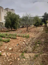 فيلا/منزل في بلعما الجبل الأخضر بجانب منزل الشيخ نواف الفارس  - 50,000 دأ - صورة NaN