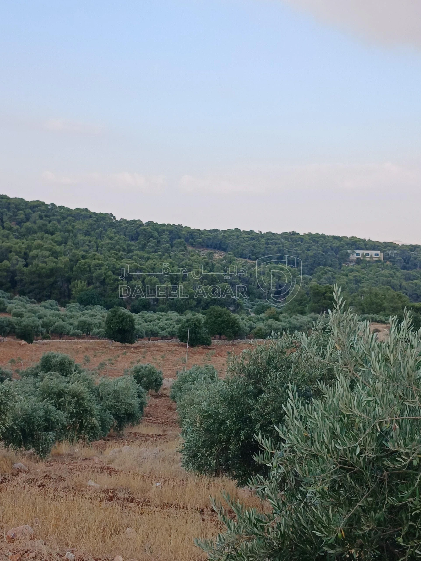 أرض في جرش الجزازه دبين - 360,000 دأ - صورة 11