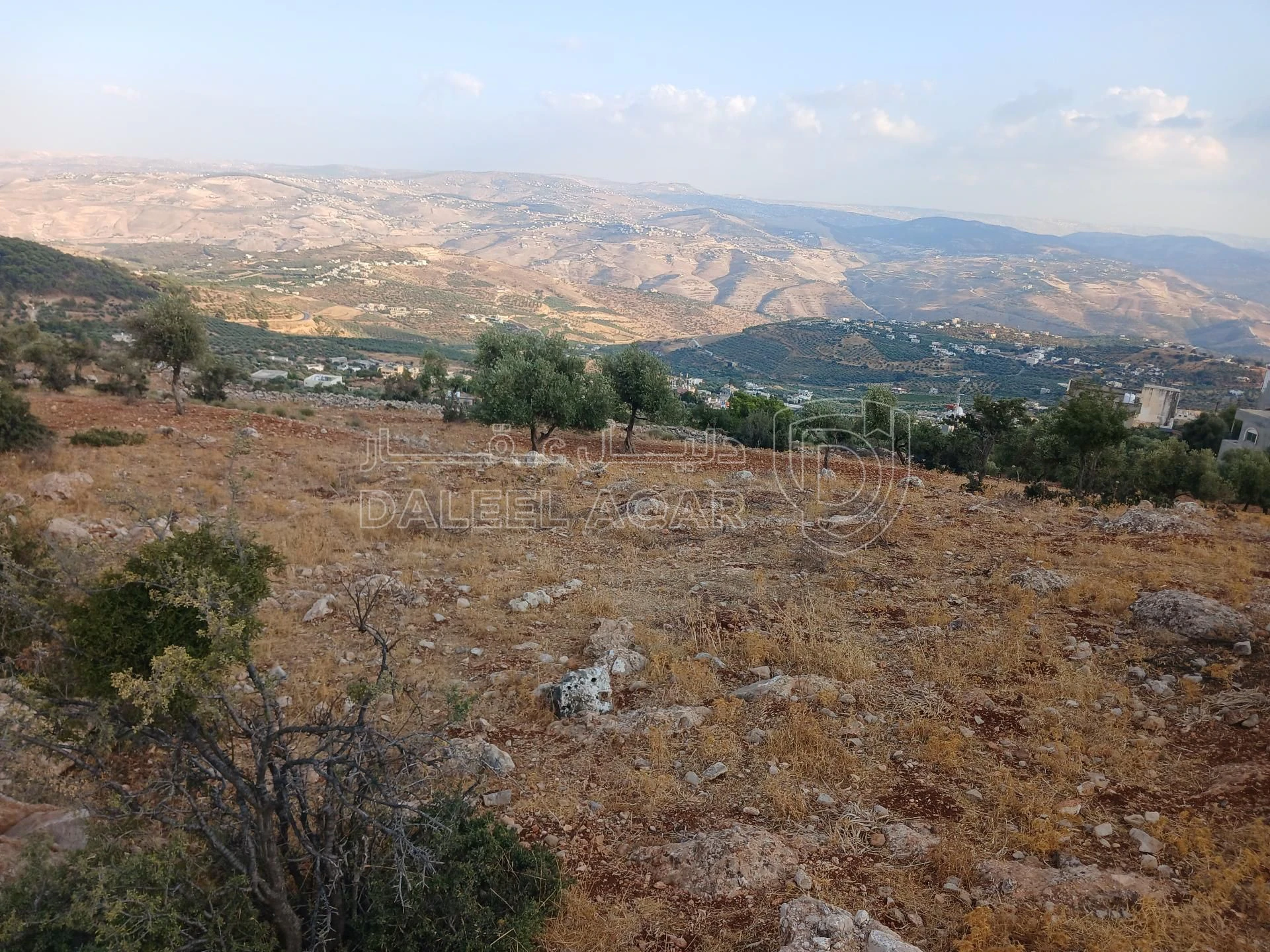أرض في جرش الجزازه دبين - 360,000 دأ - صورة 8