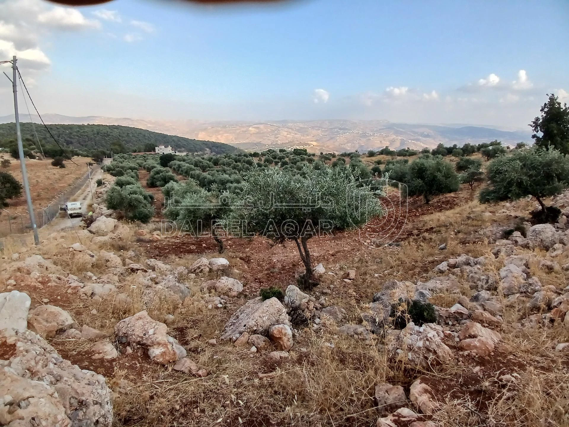 أرض في جرش الجزازه دبين - 360,000 دأ - صورة 9