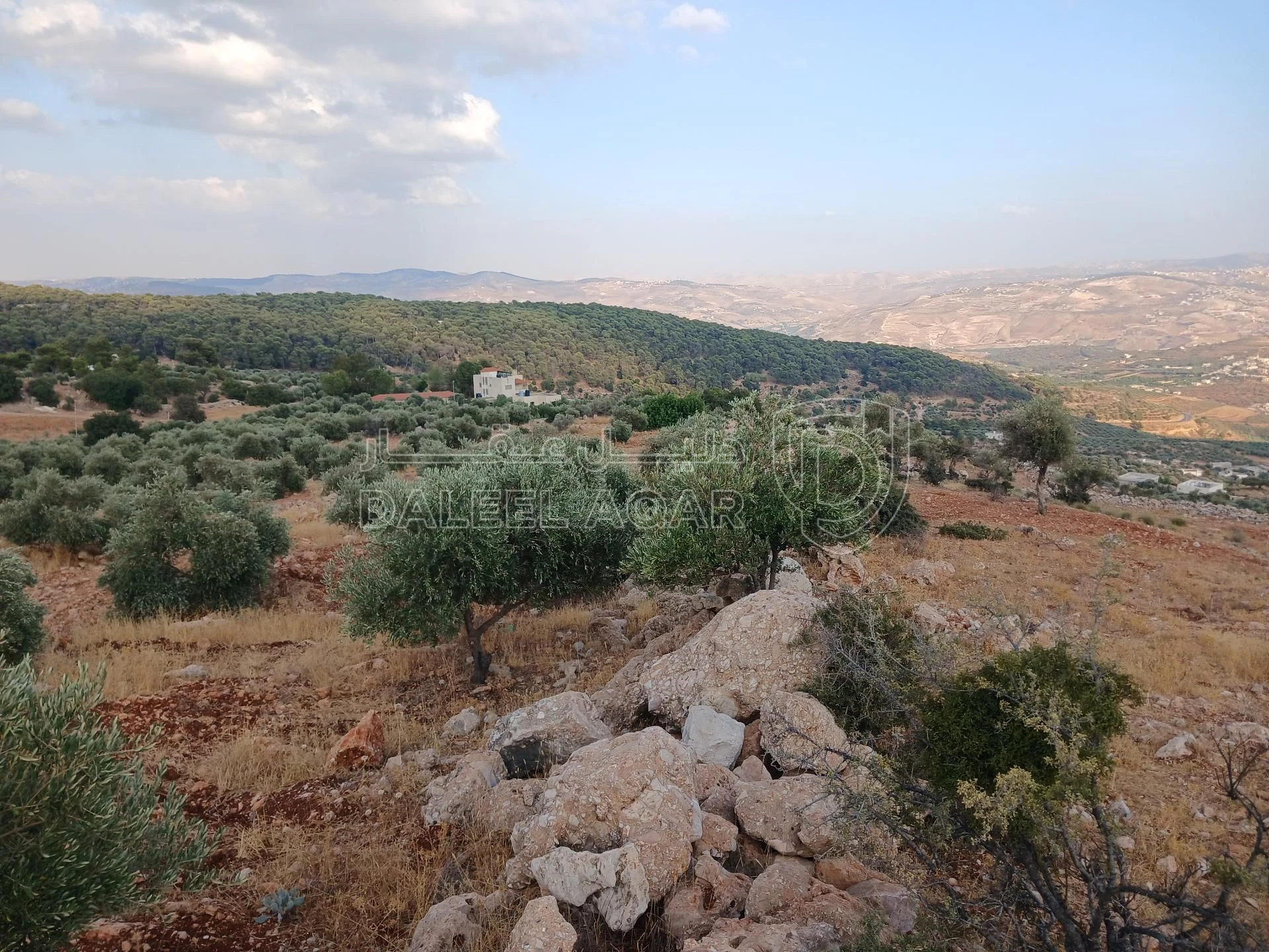 أرض في جرش الجزازه دبين - 360,000 دأ - صورة 6