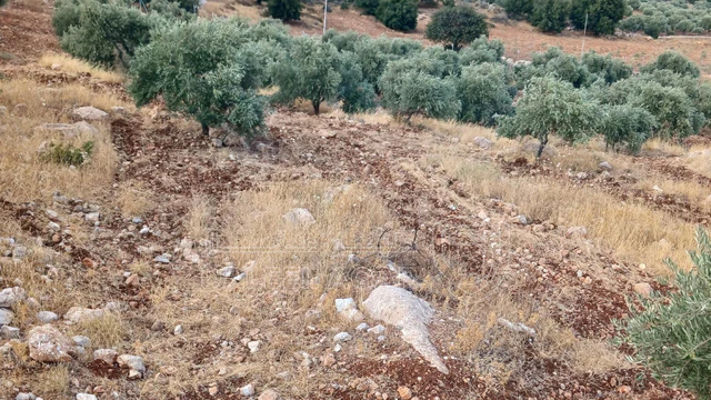 أرض في جرش الجزازه دبين - 360,000 دأ - صورة NaN