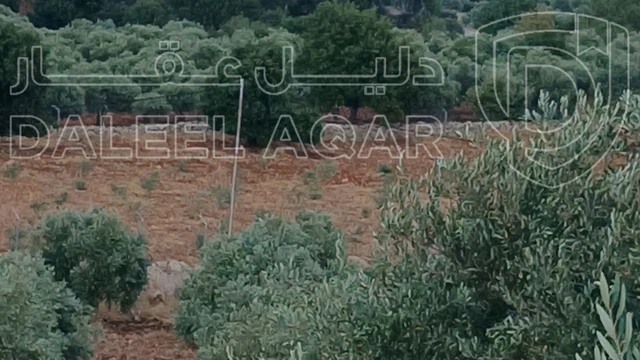 أرض في جرش الجزازه دبين - 360,000 دأ - صورة 1