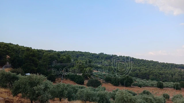 أرض في جرش الجزازه دبين - 360,000 دأ - صورة NaN