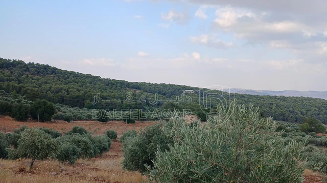 أرض في جرش الجزازه دبين - 360,000 دأ - صورة NaN