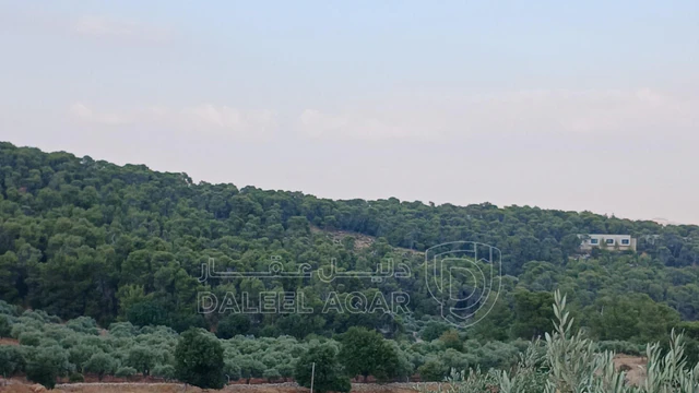 أرض في جرش الجزازه دبين - 360,000 دأ - صورة NaN