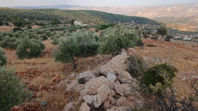 أرض في جرش الجزازه دبين - 360,000 دأ - صورة NaN