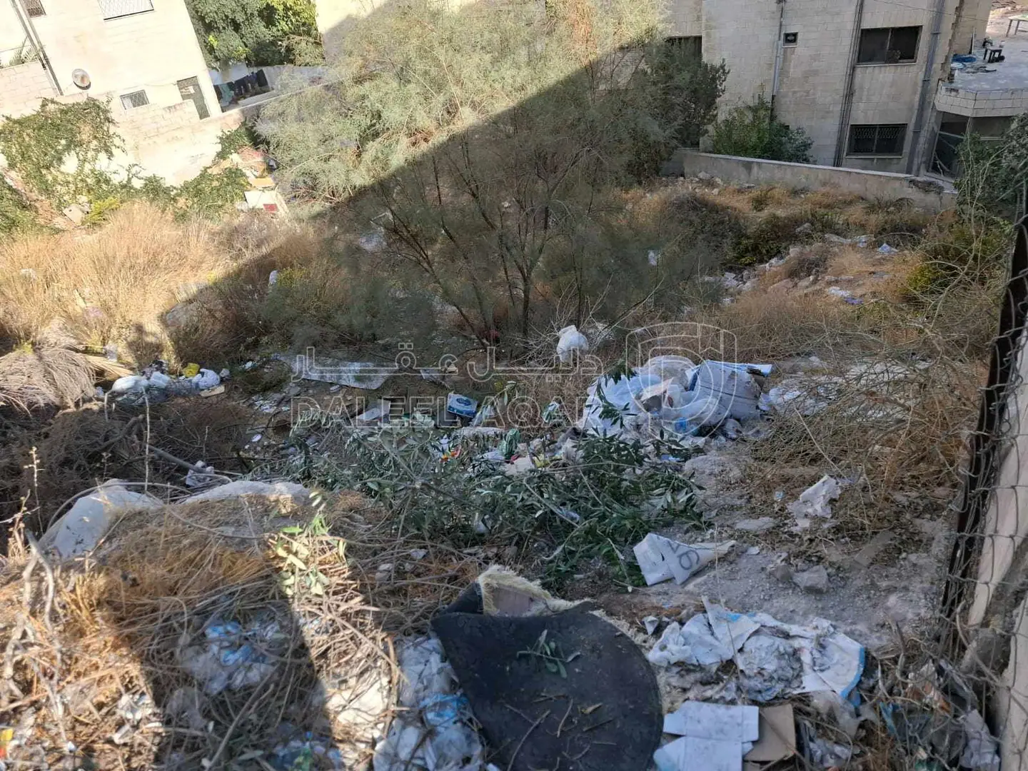 أرض في ارض للبيع بضاحية الرشيد مساحه 803مربع دونم الا 200 - 350,000 دأ - صورة 1