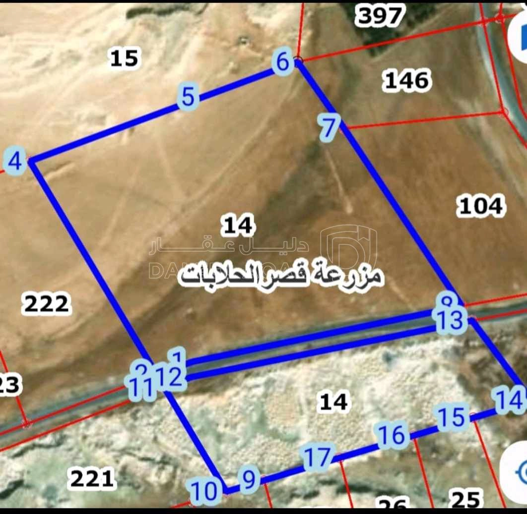 أرض في مزرعه قصر الحلابات - 185,000 دأ - صورة 1
