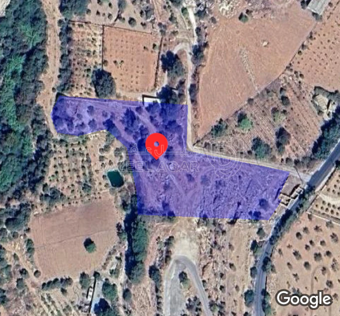 أرض في مرج الحمام البحاث - 562,000 دأ - صورة 1