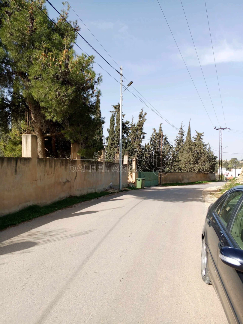 أرض في ناعور حوض اليرموك  الروضه الشارع الرئيسي - 75,000 دأ - صورة 1