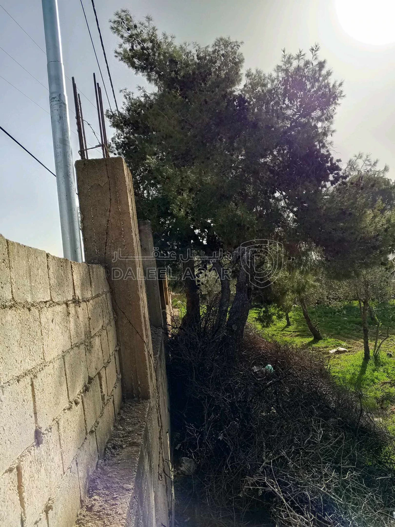 أرض في ناعور حوض اليرموك  الروضه الشارع الرئيسي - 75,000 دأ - صورة 1