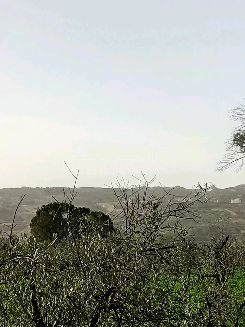 أرض في ناعور حوض اليرموك  الروضه الشارع الرئيسي - 75,000 دأ - صورة 1