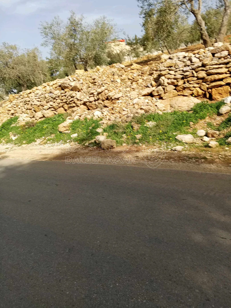 أرض في ناعور حوض اليرموك  الروضه الشارع الرئيسي - 75,000 دأ - صورة 1