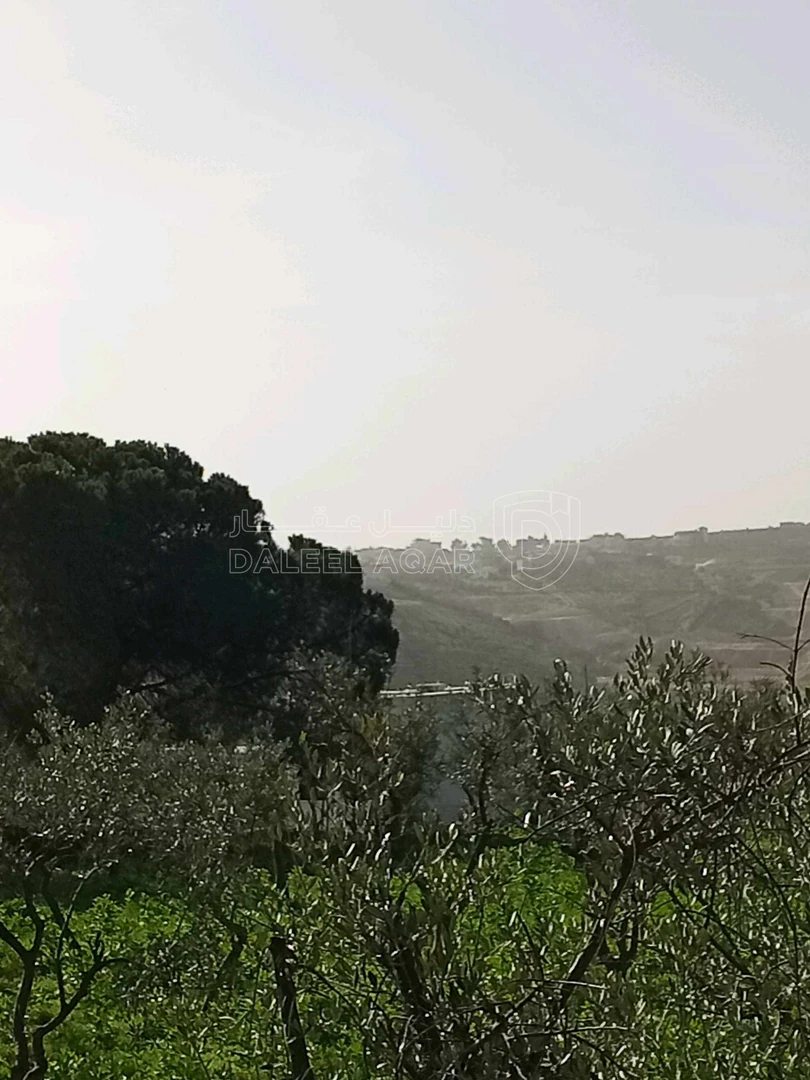 أرض في ناعور حوض اليرموك  الروضه الشارع الرئيسي - 75,000 دأ - صورة 1