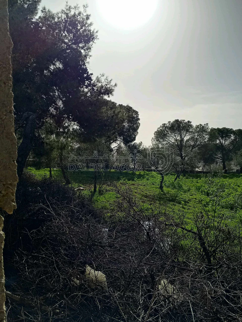 أرض في ناعور حوض اليرموك  الروضه الشارع الرئيسي - 75,000 دأ - صورة 1